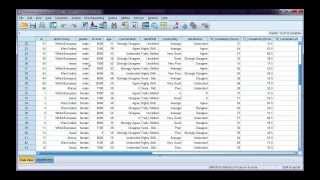 Split your data file by a categorical variable in SPSS [upl. by Hamirak]