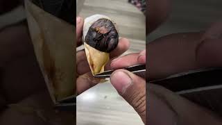 Chick was near to die I break shell instantly Man Inventions 1080p60 h264 youtube [upl. by Acalia]