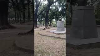 mga puno sa luneta [upl. by Assirram]