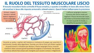 LA STRUTTURA E FUNZIONE DEI VASI SANGUIGNI [upl. by Tarr801]