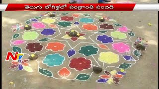 Makara Sankranthi Celebrations All Over Andhra Pradesh and Telangana Villages  NTV [upl. by Acihsay]