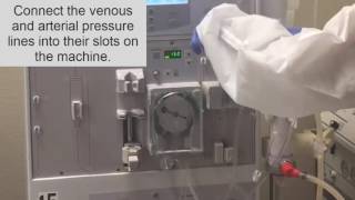 How to setup a dialysis Machine part II Hemodialysis Training [upl. by Kcinomod]