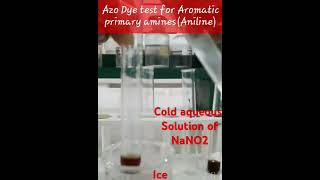 Azo Dye test for aromatic primary amine coupling reaction class 12 chemistry experiment [upl. by Elsilrac120]