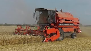 Mähdrescher DeutzFahr M1322 Weizenernte bei Meldorf [upl. by Berta]