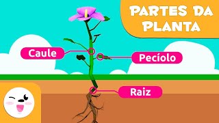 As partes da planta para crianças Ciências para crianças [upl. by Klecka]