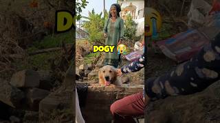 Cute Adventure 🥺 Dogvlog shorts vlog vlogger [upl. by Kurtis895]