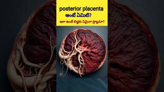 Posterior placenta shortsvairalshortsposteriorplacenta [upl. by Cho]