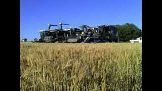 Trial Plot Harvest  New South Wales Australia 2012 [upl. by Tnias]