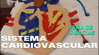 Sistema Cardiovascular  Faça você mesmo  Aprender e Brincar [upl. by Erland519]