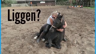 VRIJHEIDSDRESSUUR 1  HOE LEER JE EEN PAARD LIGGEN ONZE WEG ER NAARTOE [upl. by Adnopoz466]