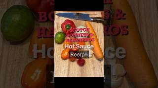 Scotch Bonnets and Habaneros Hot Sauce Recipe This Sauce is Very Hot with Savoury Flavour [upl. by Acirre]