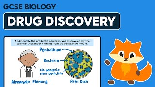 Drug Discovery  GCSE Biology [upl. by Velick]