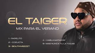 El Taiger  Mix Verano 2024 Oficial [upl. by Aprilette]