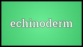 Echinoderm Meaning [upl. by Dempsey]