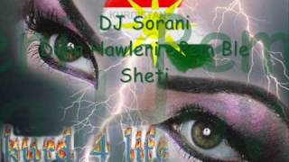 DJ Sorani ft Dana Hawleri  Pem Ble Sheti Reggaeton Remix [upl. by Sears]