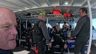 diving off Rottnest on board blue destiny [upl. by Gniw]