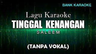 TINGGAL KENANGAN  SALEEM KARAOKE TANPA VOKAL [upl. by Eixam]