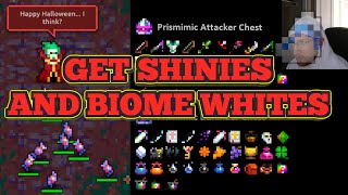 NEW ROTMG Best Way To Get White BagsShinies RIGHT NOW [upl. by Ashlan]