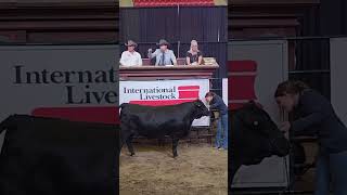 Lars Deleeuw from Harley Ontario at the International Livestock Auctioneer Championship [upl. by Gnohp]