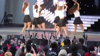 AOA Miniskirt KTMF14 2016 [upl. by Mackintosh]