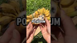 Potassium fruit potassium fruit shorts healthcaretips motivation facts [upl. by Enimrej]