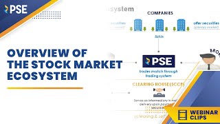 PSE Webinar Clips Overview of the Stock Market Ecosystem [upl. by Tasha]