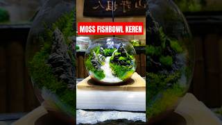 KREASI FISHBOWL DARI MOSS YANG SANGAT KREATIF 😍 [upl. by Amatruda76]