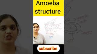 amoeba structure  amoeba full details in 30 second  amoeba daigram ncert biology 11th [upl. by Niven867]