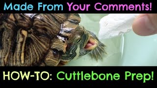 Turtle Adventures HOWTO Cuttlebone Preparation for Your Turtles [upl. by Sacksen]