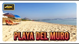 PLAYA DEL MURO 4k  Alcúdia Mallorca Spain  Cinematic Beach Video [upl. by Katrine]