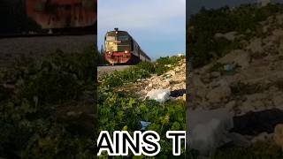 DP150shorts explore sncft train railway railfans tunisia youtubeshorts reels rail speed [upl. by Dotti358]