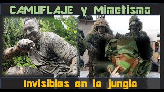 CAMUFLAJE y Mimetismo – Detrás de las líneas ENEMIGAS [upl. by Annohs]