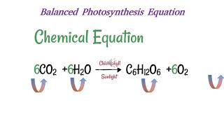 Biology Grade 10 Unit 4 part one in Amharic [upl. by Evans]