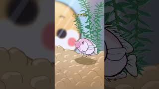 Kissing gourami 💋🐟 animation original cartoon [upl. by Aletha]