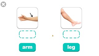 New words Arm and Leg  Body Parts names and sounds  Learn English for Kids  Kids vocabulary [upl. by Anibor]