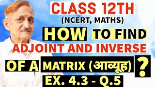 L 07  CLASS 12TH  MATRIX Ka Adjoint And Inverse Kaise Nikale  Adjoint And Inverse Of Matrix [upl. by Francisco]