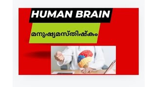 psc science Human Brain [upl. by Idnahs]