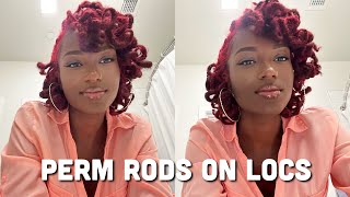 TRYING PERM RODS ON LOCS  curly locs  perm rod set on locs [upl. by Clo143]