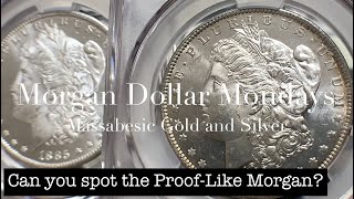 SEMI PROOFLIKE vs PROOFLIKE  “MORGAN DOLLAR MONDAYS” with MASSABESIC GOLD and SILVER [upl. by Atileda]