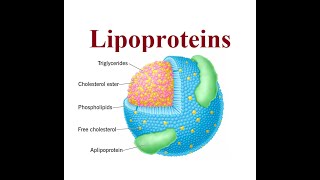 Lipoproteins structure and functions  2024 [upl. by Donaldson]