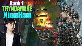 RANK 1 TRYNDAMERE  XIAOHAO TRYNDAMERE VS GAREN  XIAOHAO STREAM [upl. by Nauqyt]