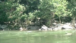 South Branch Potomac River Trough [upl. by Doran]