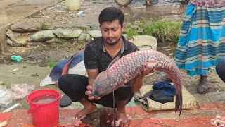 How To Big Blood Carp Fish Cutting Skill [upl. by Aggie518]