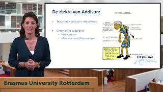 Geneesmiddel van de week  Hydrocortison [upl. by Ika85]