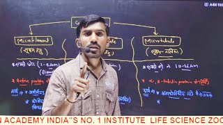 Centrosome centriolemicrobodies cytoskeleton Cell biology NEET part 9by TULCHHA RAM sir [upl. by Doughman677]