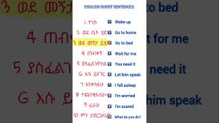 እንግሊዘኛን በአማረኛ መማርSPEAKING ENGLISH IN AMHARIC PRACTICE  english Daily use sentence [upl. by Ldnek394]