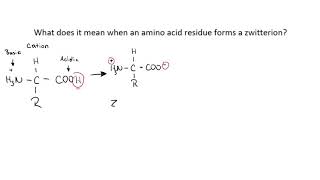 Biological Chemistry What is a zwitterion [upl. by Quiteria]