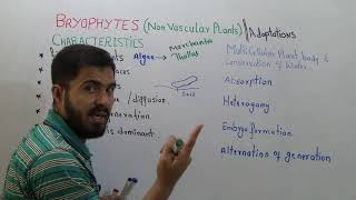 Bryophytes Characteristics and adaptations Alternation Of Generation Lecture 2 in Urdu Hindi [upl. by Takashi33]