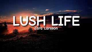 Zara Larsson  Lush Life Lyrics [upl. by Sined]