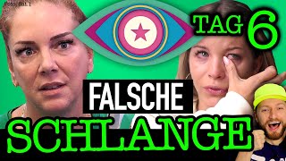 quotIch mach dich fertigquot Ina ÄTZT gegen Danni Büchner Promi Big Brother 2021 Folge 6 [upl. by Neliak82]